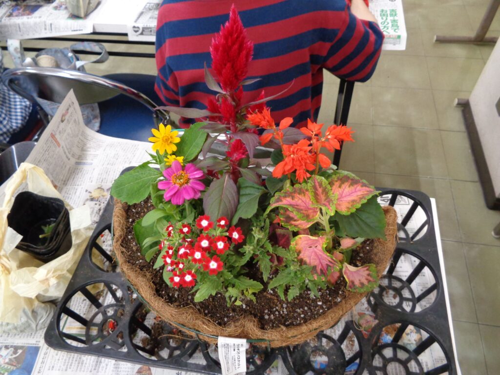 さんはーと鹿児島  寄せ植え講座